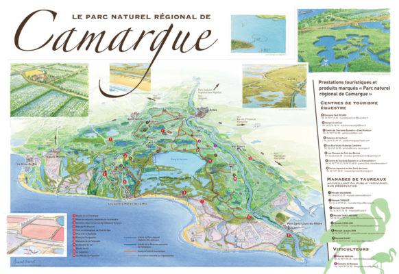 , Discovering the Camargue